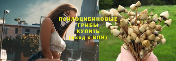 PSILOCYBIN Богданович