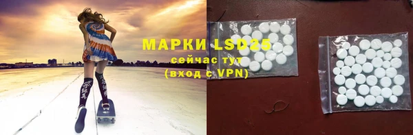 PSILOCYBIN Богданович